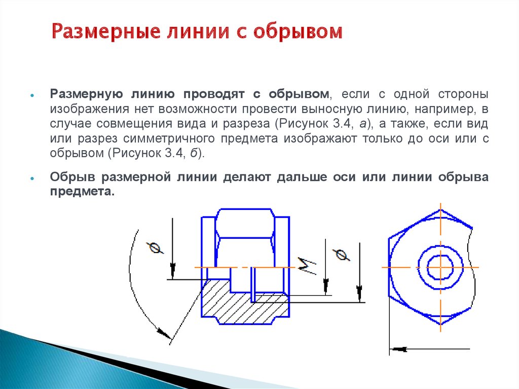 Размерная линия. Размер с обрывом на чертеже. Простановка размеров на разрезе. Размерная линия с обрывом. Пересечение выносных и размерных линий на чертеже.