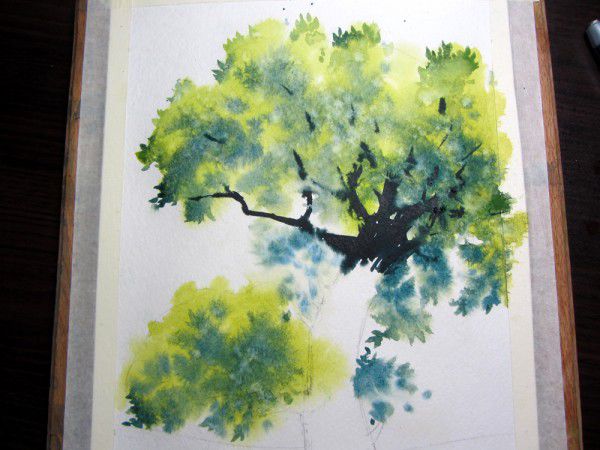 Как нарисовать дерево акварелью, фото № 14