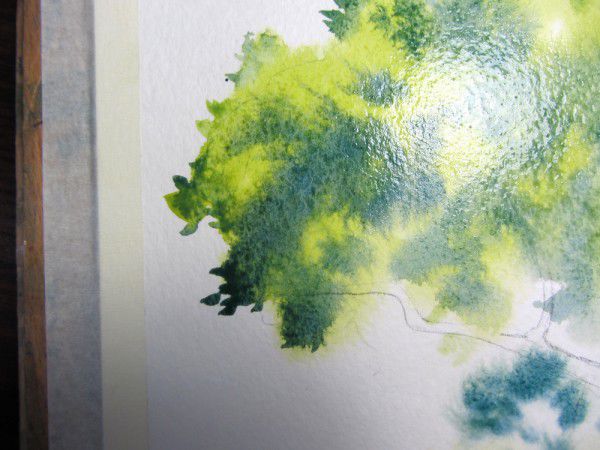 Как нарисовать дерево акварелью, фото № 8