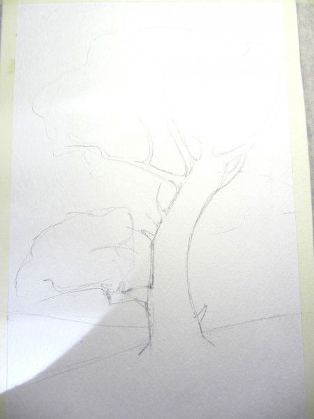 Как нарисовать дерево акварелью, фото № 3