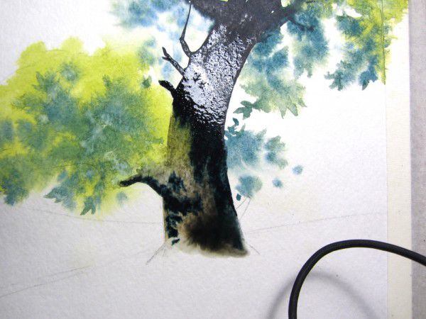 Как нарисовать дерево акварелью, фото № 15