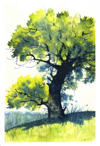 Как нарисовать дерево акварелью, фото № 24