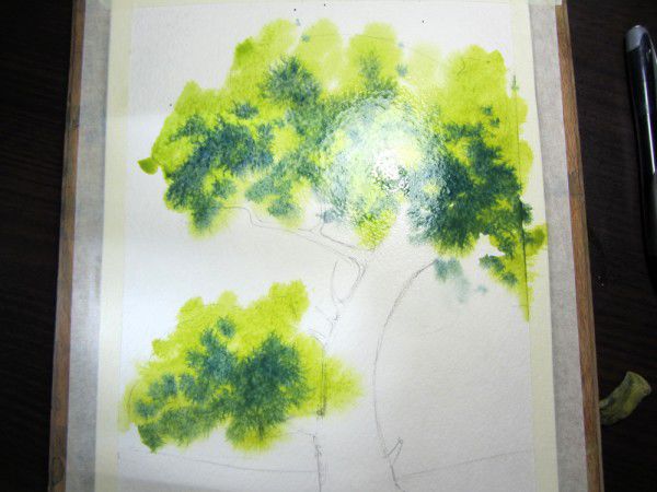 Как нарисовать дерево акварелью, фото № 5