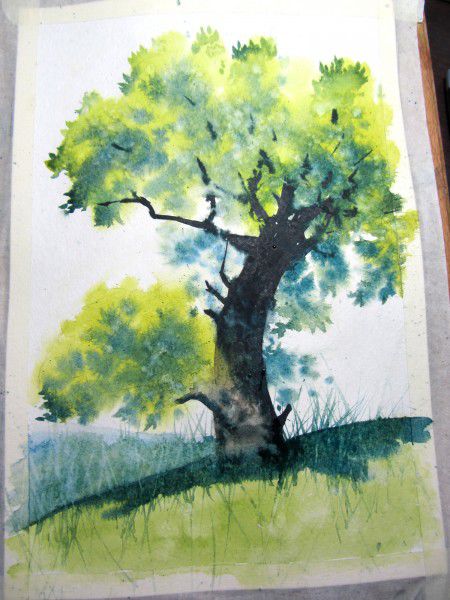 Как нарисовать дерево акварелью, фото № 22