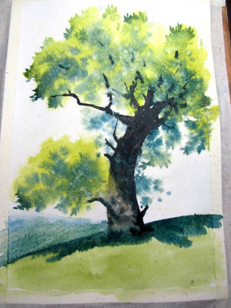 Как нарисовать дерево акварелью, фото № 21
