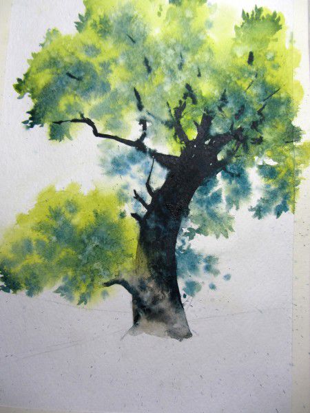 Как нарисовать дерево акварелью, фото № 17