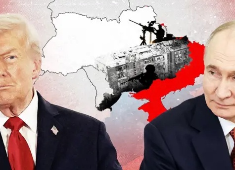 «Стальной» дом – почему бы и нет?